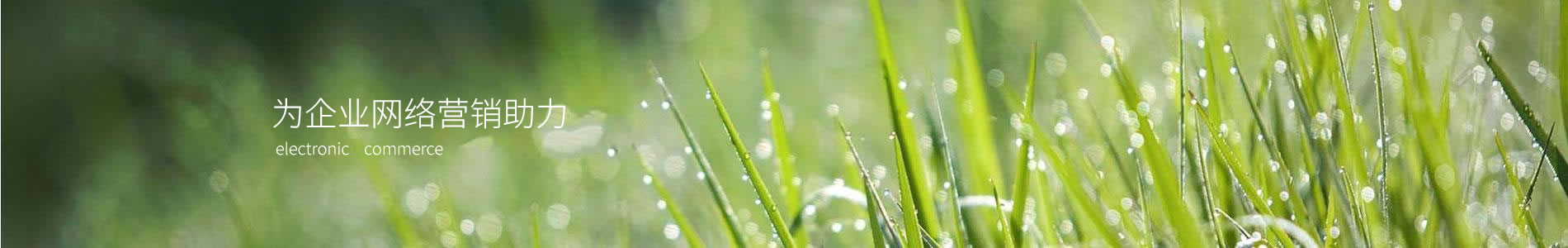 ֣ݽǹڻ޹˾